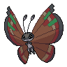 Dark Vivillon (Archipelago)